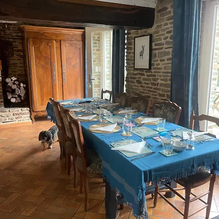 Le Nid Des Oiseaux Vakantiehuis